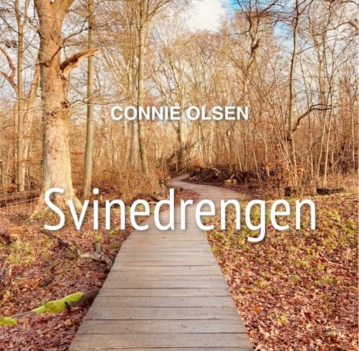 Billede 58 Svinedrengen – eventyr for indlagte